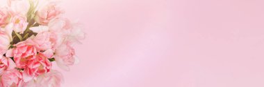 Pembe arka planda yaratıcı bahar arkaplan kompozisyonu renkli çiçekler.
