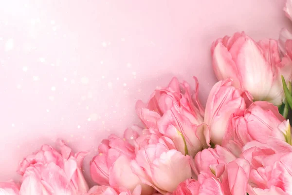 Creativa composición de fondo de primavera flores de colores sobre fondo rosa. — Foto de Stock