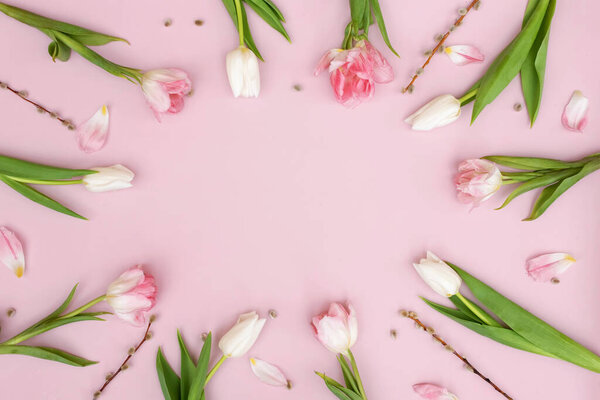 Creative spring background composition colorful flowers on pink background.