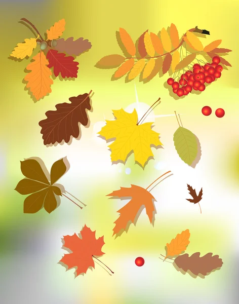 Floraler Hintergrund im Herbst. — Stockvektor
