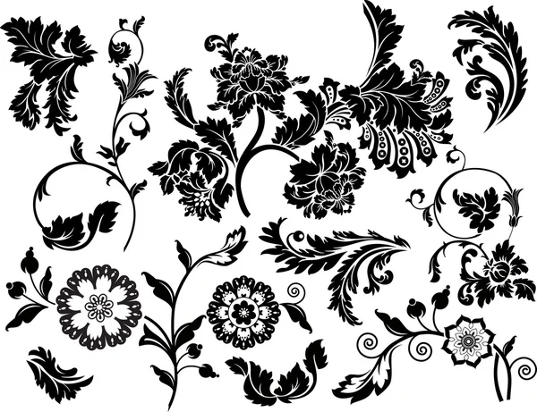 Verzameling van floral ontwerpelementen. — Stockvector