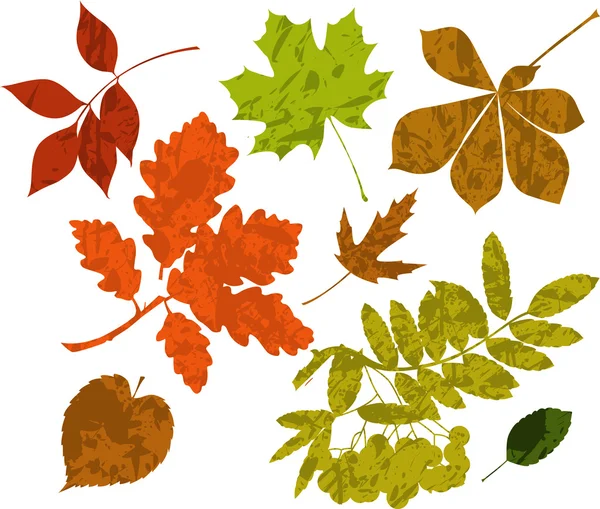 Grunge-Silhouetten von Blättern — Stockvektor