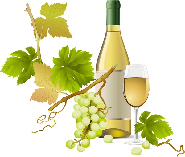 Vino blanco — Vector de stock