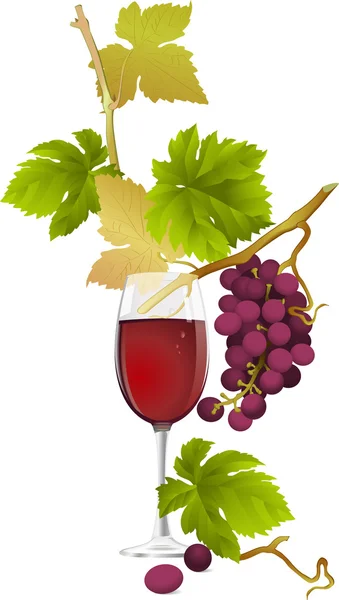 Vin rouge. — Image vectorielle