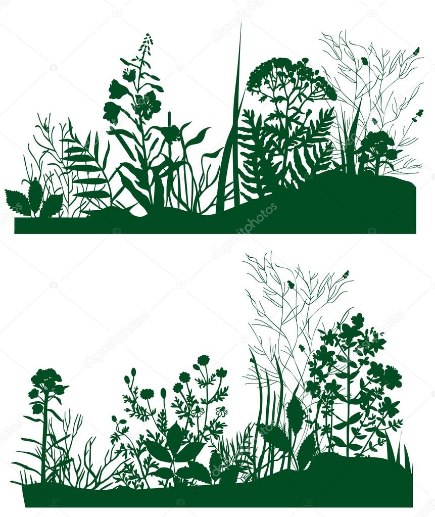 Flowers and grass vector silhouette.