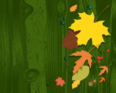 Sonbahar Çiçek Arkaplanı.