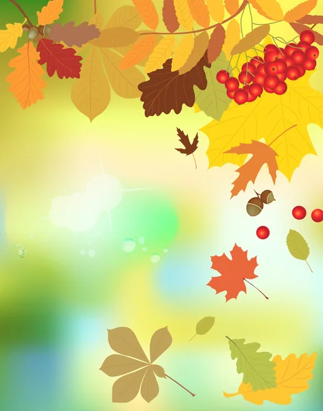 Fondo floral de otoño. — Vector de stock