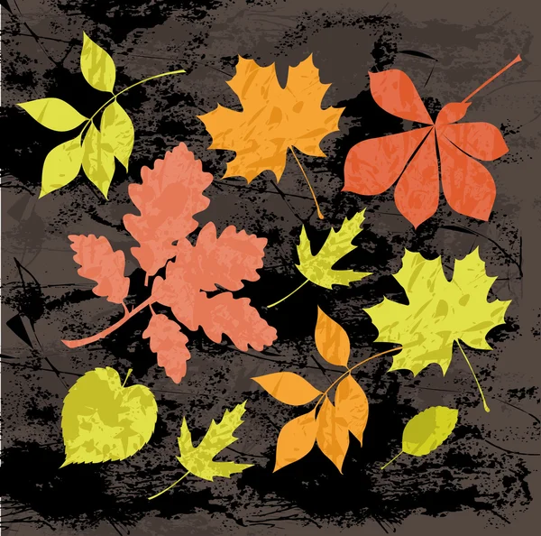 Silhouettes de feuilles d'automne . — Image vectorielle