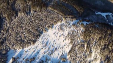 Karpatların kışın karla kaplı olduğu donmuş bir ormanın havadan görünüşü.