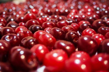 Olgun kiraz yığınını kapat. Büyük bir taze kırmızı kiraz koleksiyonu. Olgun kiraz arka planı. - Evet. Yüksek kalite fotoğraf