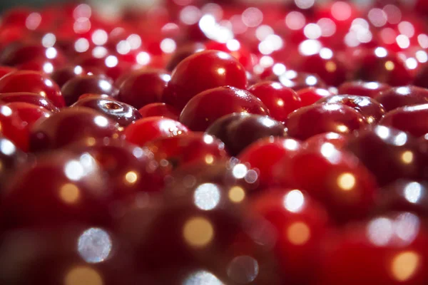 Zamknij Stos Dojrzałych Wiśni Duży Zbiór Świeżych Czerwonych Wiśni Dojrzałe — Zdjęcie stockowe