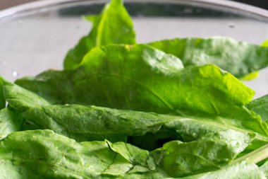 Bright fresh leaves of sorrel in a glass bowl. Rustic style.