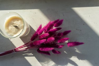 Test tüpünde mor lagurus buketi var. Tavşan kuyruğu. Beyaz dekoratif mum.
