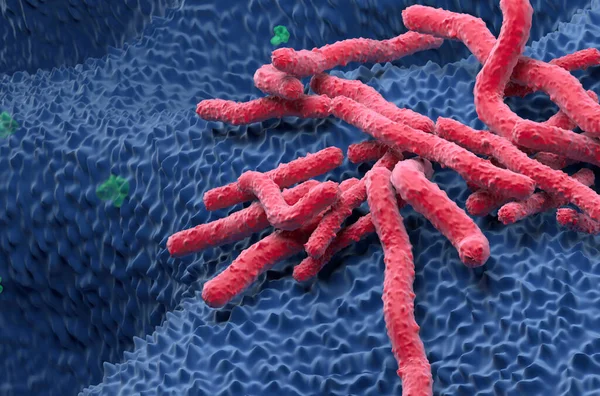 Helicobacter Pylori Bacteria field on the stomach wall - closeup view 3d illustration