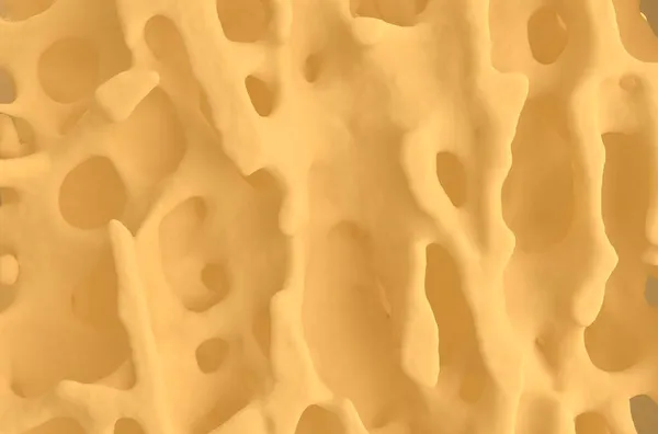 Звичайна Структура Кісток Здорова Кісткова Кора Природний Матеріал Спереду Ілюстрація — стокове фото