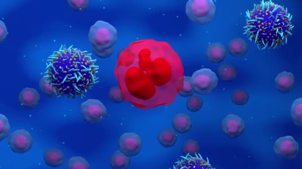 Car T細胞攻撃の戦いと癌細胞3Dレンダリングアニメーションを破壊 — ストック動画