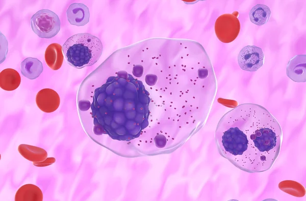 Células Mieloma Múltiple Flujo Sanguíneo Vista Cerca Ilustración — Foto de Stock