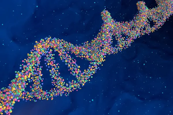 Нуклеотиды Acgt Геноме Человека Молекула Днк Двойная Спираль Особенности Икосаэдра — стоковое фото