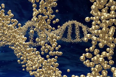 DNA molekülündeki altın nükleotidler (insan genomu) çift sarmal zincir ve nebula arkaplan - 3d görünümü üzerinden