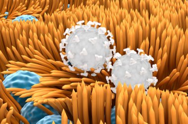 Soluk borusuna yapışan Covid 19 virüsü (yüzey) - yakın görüntü 3d illüstrasyon