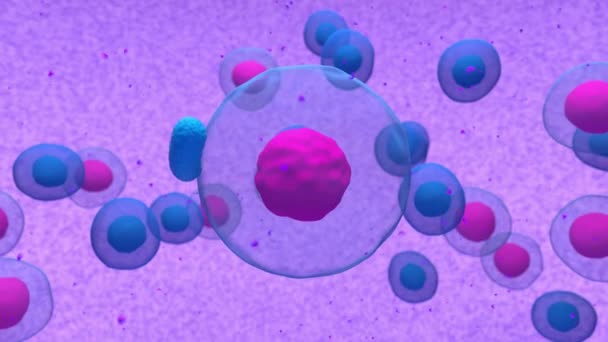 Aktifkan Animasi Cell Dividing Dan Emitting Antibody Render — Stok Video