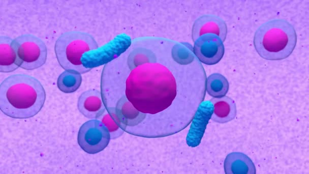 Nieprawidłowe Komórki Osocza Lub Komórki Szpiczaku Mnogim Emitujące Paraproteiny Renderowania — Wideo stockowe