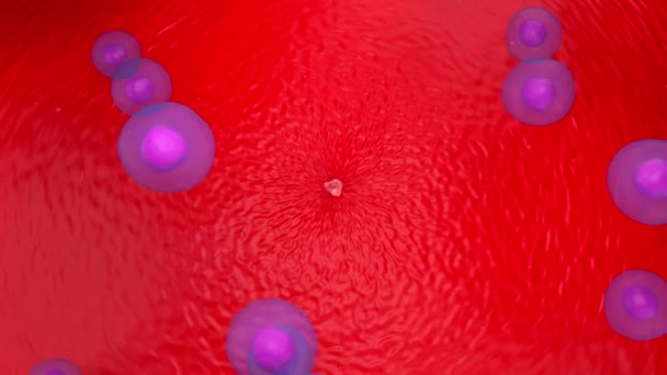 Cells Attack Growed Tumor Cancer Render Animation — Stok Video