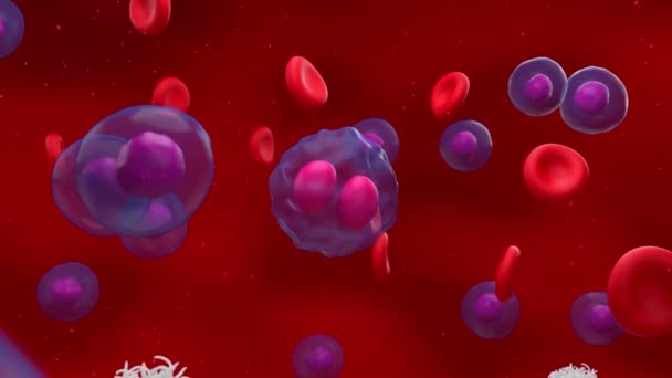 Aktywowane Krwinki Atakują Niszczą Podzielone Komórki Chłoniaka Renderowania Animacji — Wideo stockowe
