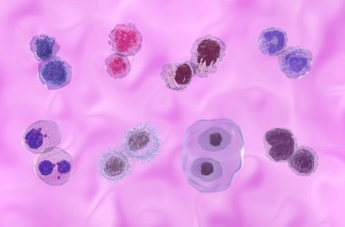 Most common blood cancer types: leukemias, lymphomas and myeloma (from top-left: AML, ALL, CLL, CML, MM, HCL, HL, NHL) - front view 3d illustration