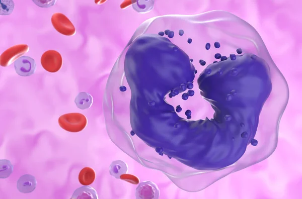 Chronická Myelogenní Leukémie Cml Buňky Krevním Oběhu Super Detailní Pohled — Stock fotografie