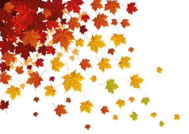 Sonbahar Yaprakları