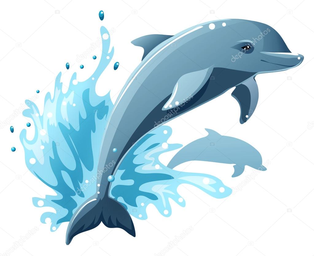 Dolphin in water splash