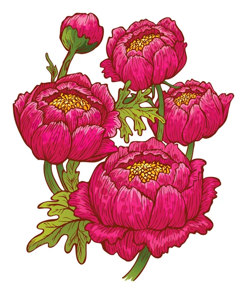 Vackra rosa blommor — Stock vektor