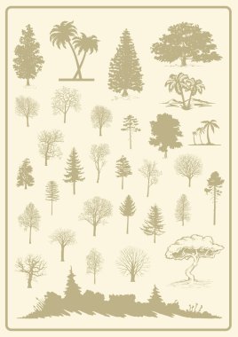 siluet di alberi