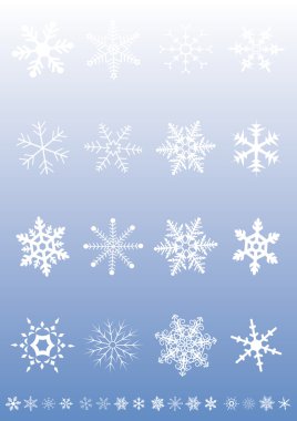 Cristalli di Neve