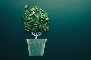 Ecology house concept. Green plant in a pot shaped like a house. Symbol of green and ecology and energy clean house