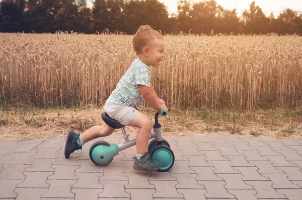Bisikletli çocuk. Bisiklete binen dengeli bir çocuk. Sağlıklı yaşam tarzı, çocukluk kavramı.