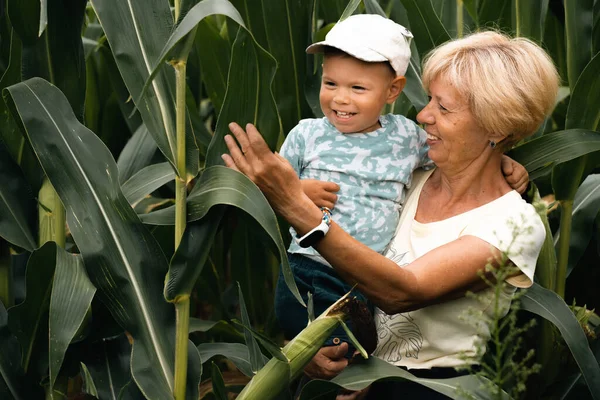 Grandmother Child Outdoor Laughing Corn Field Senior Boy Together Generation — Stock Photo, Image