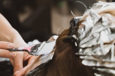 Hair Coloring In A Beauty Salon. Professional wizard paints the hair in the salon. Beauty concept, hair care. Hairdressing Services