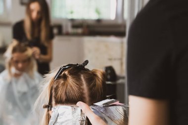 Hair Coloring In A Beauty Salon. Professional wizard paints the hair in the salon. Beauty concept, hair care. Hairdressing Services