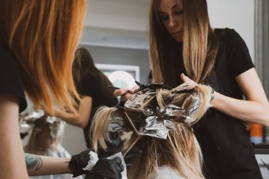 Hair Coloring In A Beauty Salon. Professional wizard paints the hair in the salon. Beauty concept, hair care. Hairdressing Services