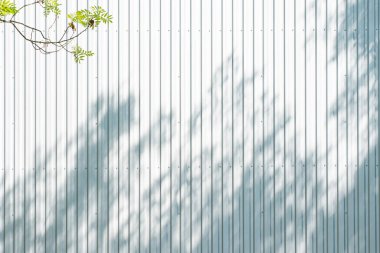 tin background texture with branch of tree. Close view of white colored abstract pattern background with shadow. Copy space.