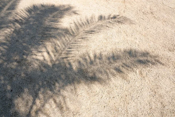 Palm leaf shadow on sand. High Resolution surface for pattern and background. Blank template for advertising lettering, rough material, grungy textured background closeup.