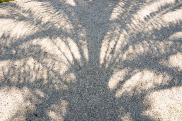 Тінь Пальмового Листя Піску Поверхня Високої Роздільної Здатності Візерунка Тла — стокове фото