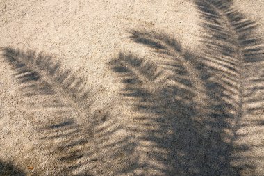 Palm leaf shadow on sand. High Resolution surface for pattern and background. Blank template for advertising lettering, rough material, grungy textured background closeup.