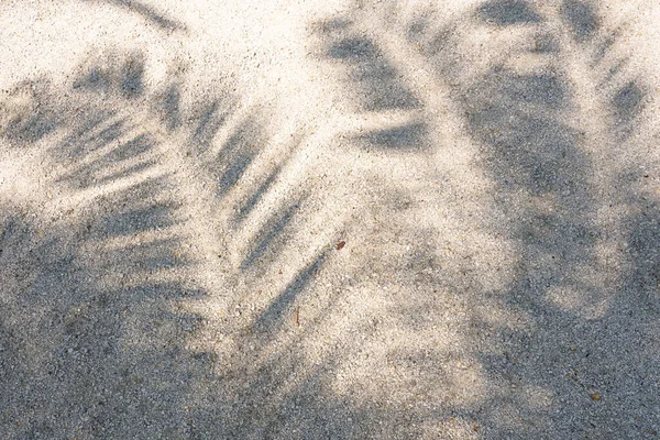 Σκιά Από Φύλλα Φοίνικα Στην Άμμο Επιφάνεια Υψηλής Ανάλυσης Για — Φωτογραφία Αρχείου
