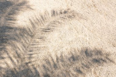 Palm leaf shadow on sand. High Resolution surface for pattern and background. Blank template for advertising lettering, rough material, grungy textured background closeup.