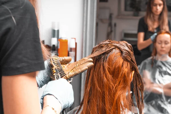 Hair Coloring Beauty Salon Professional Wizard Paints Hair Salon Beauty — Fotografia de Stock