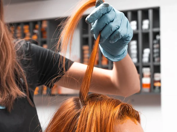 Hair Coloring In A Beauty Salon. Professional wizard paints the hair in the salon. Beauty concept, hair care. Hairdressing Services