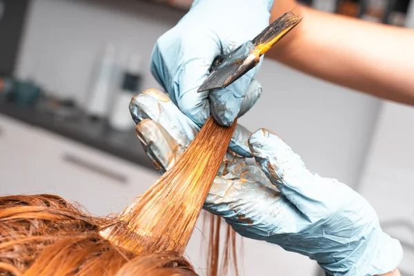 Hair Coloring Beauty Salon Professional Wizard Paints Hair Salon Beauty — Stock Photo, Image